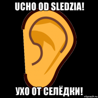 ucho od sledzia! ухо от селёдки!