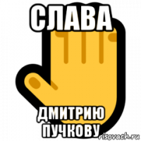 слава дмитрию пучкову