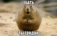 ебать ты гондон