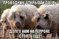проводник, открывай дверь долго нам на перроне стоять ещё