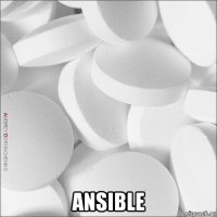  ansible