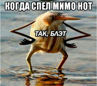когда спел мимо нот 