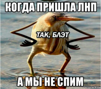 когда пришла лнп а мы не спим