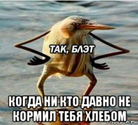  когда ни кто давно не кормил тебя хлебом