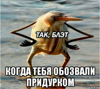  когда тебя обозвали придурком