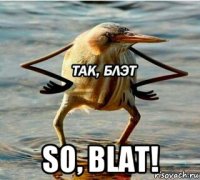  so, blat!