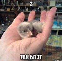 з так блэт