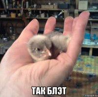  так блэт