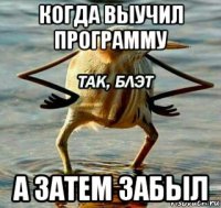 когда выучил программу а затем забыл