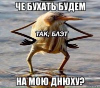 че бухать будем на мою днюху?
