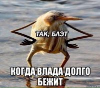  когда влада долго бежит