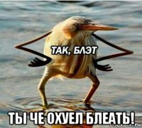 ты че охуел блеать!