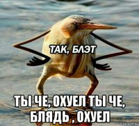  ты че, охуел ты че, блядь , охуел