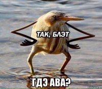  гдэ ава?