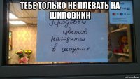 тебе только не плевать на шиповник 