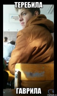 теребила гаврила