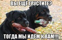 вы ещё грустите? тогда мы идём к вам!!!