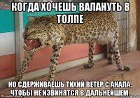 когда хочешь валануть в толпе но сдерживаешь тихий ветер с анала, чтобы не извинятся в дальнейшем.