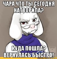 чара что ты сегодня натворила? куда пошла? вернулась быстро!