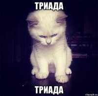 триада триада