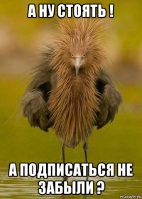 а ну стоять ! а подписаться не забыли ?