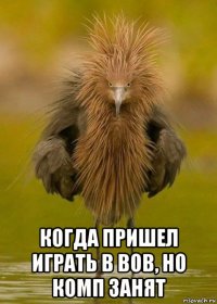  когда пришел играть в вов, но комп занят