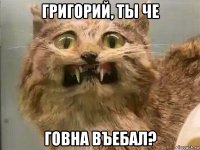 григорий, ты че говна въебал?