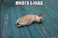 много букав 