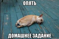 опять домашнее задание
