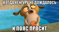 когда кенгуру не дождалось и пояс просит