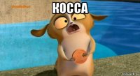косса 