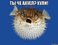 ты че ахуел? хули! 