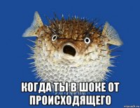  когда ты в шоке от происходящего