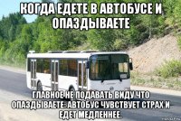 когда едете в автобусе и опаздываете главное не подавать виду что опаздываете: автобус чувствует страх и едет медленнее.