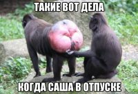 такие вот дела когда саша в отпуске