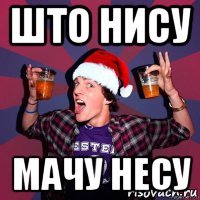 што нису мачу несу