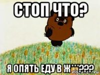 стоп что? я опять еду в ж***???