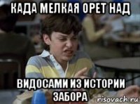 када мелкая орет над видосами из истории забора