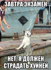 завтра экзамен нет, я должен страдать хуйнёй