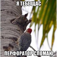 я тебе щас перфоратор сломаю