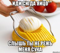 иди сюда яицо слышь ты не режь меня сука