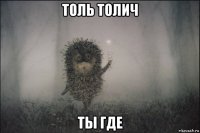 толь толич ты где