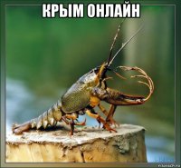 крым онлайн 