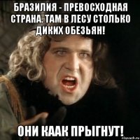 бразилия - превосходная страна. там в лесу столько диких обезьян! они каак прыгнут!