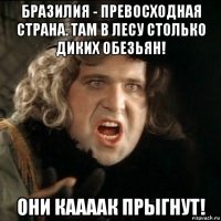 бразилия - превосходная страна. там в лесу столько диких обезьян! они каааак прыгнут!