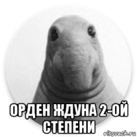  орден ждуна 2-ой степени
