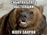 сибиряк блять настоящий жопу закрой