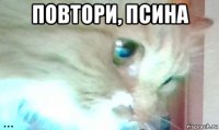 повтори, псина 