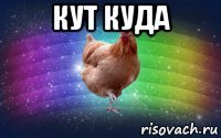 кут куда 