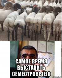  самое время выставить семестровые)0